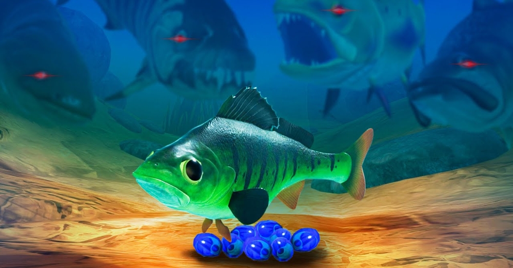 What Is Feed and Grow: Fish and How to Play?